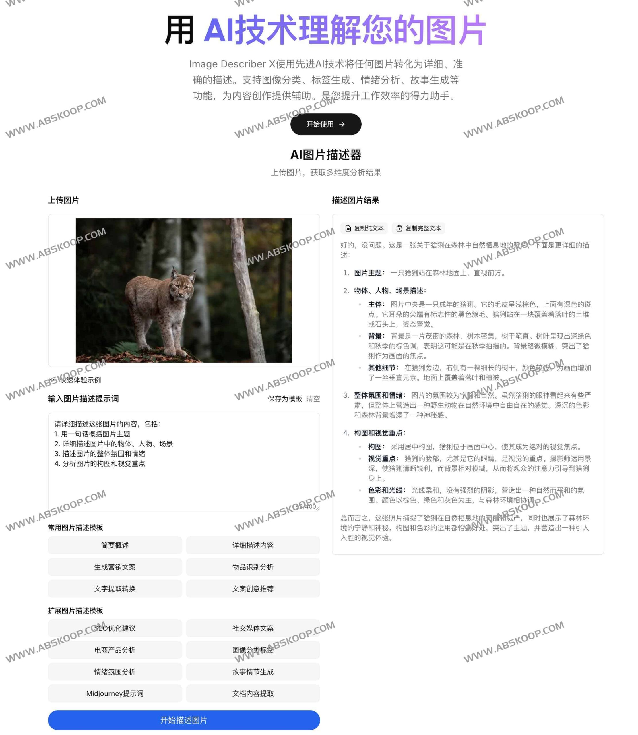 Image Describer X 评测：高效将图像转化为精准文本的免费 AI 工具