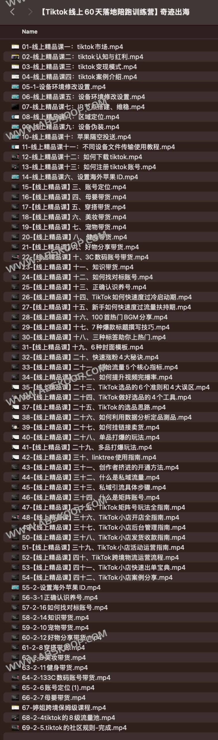 TikTok 出海实操：60 天从零到一的线上陪跑增长计划