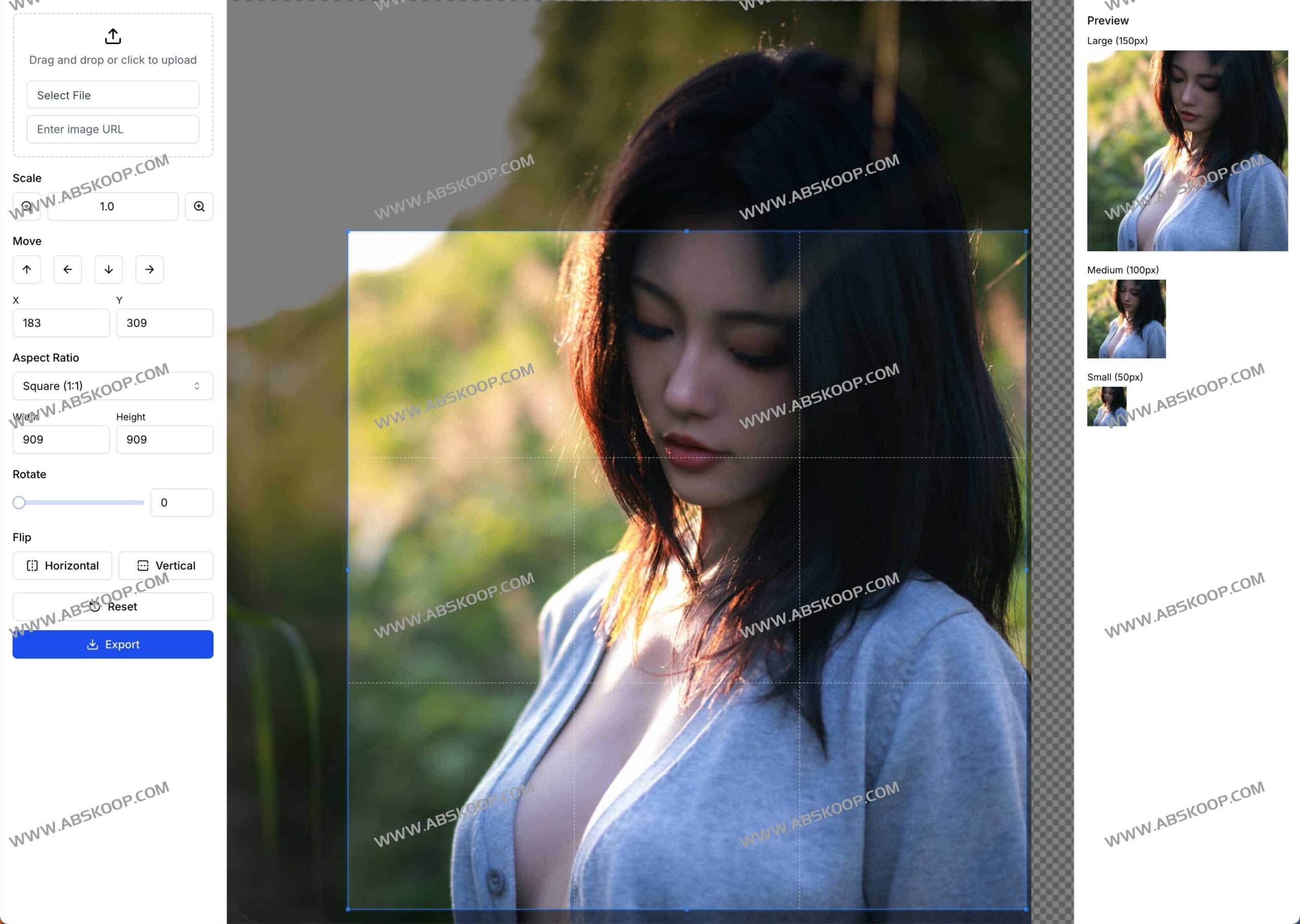 想快速裁剪图片却担心隐私泄露或画质受损？试试这款免费安全的在线工具 Crop Image
