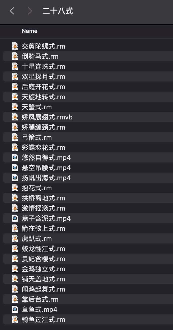 某技巧实操指南：28 讲真人演示视频教程