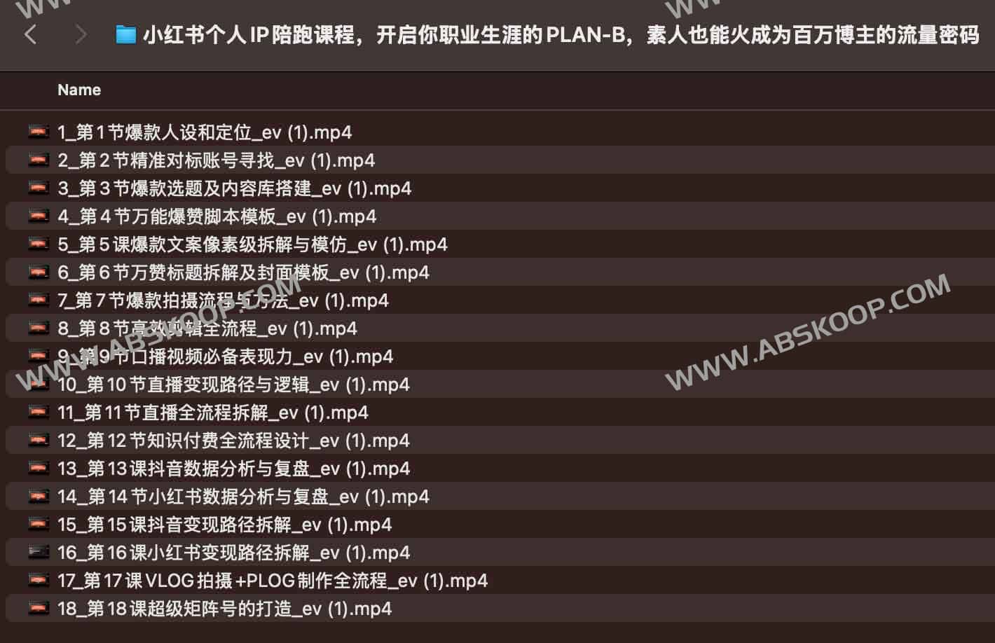 小红书个人 IP 实操陪跑课：素人博主起号指南与流量增长路径