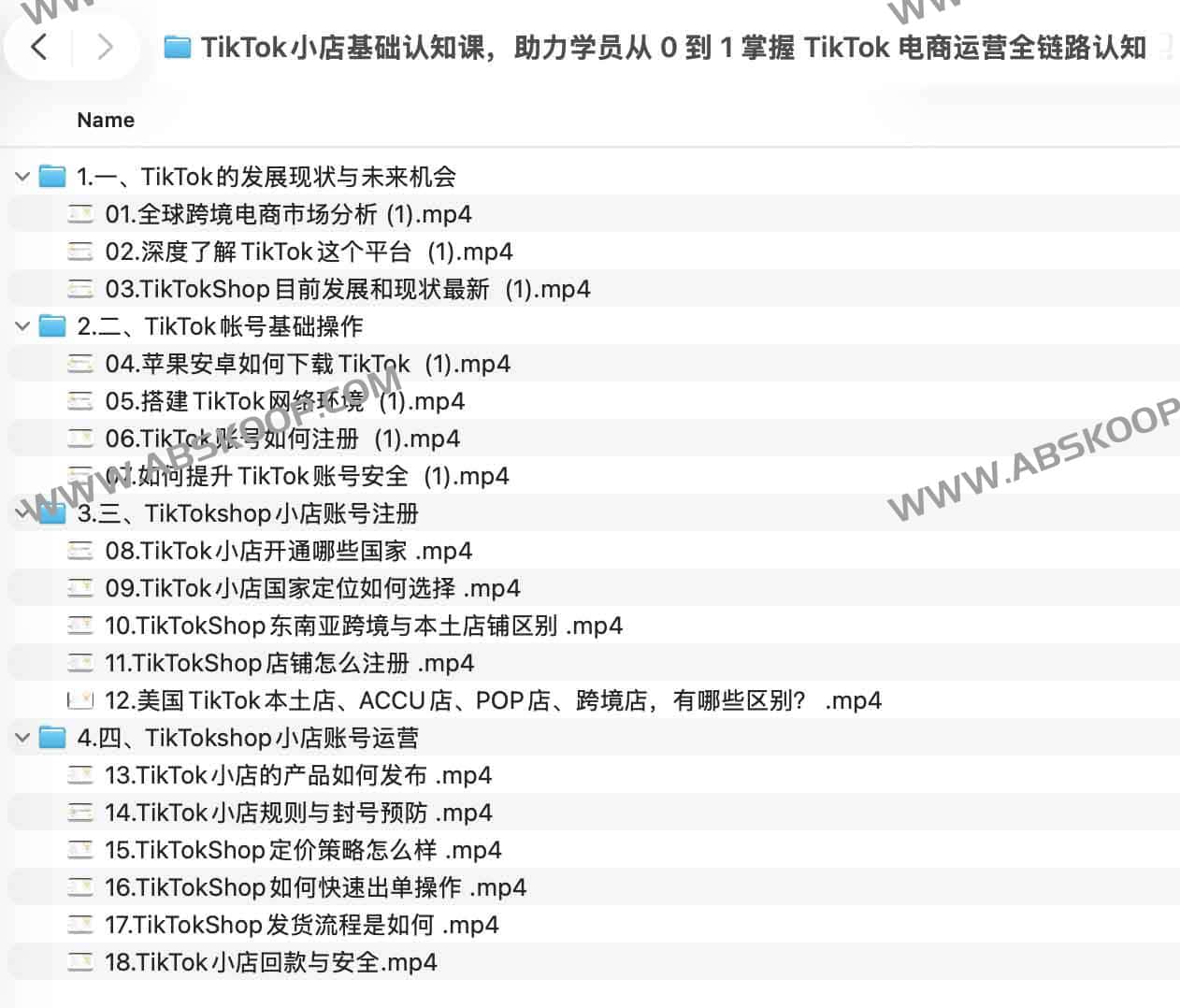 TikTok 小店从零起步指南：全链路运营逻辑与实操环境配置详解