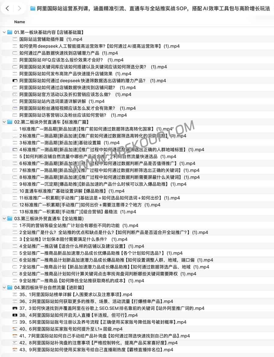 阿里国际站增长全攻略：通过 AI 工具与实战 SOP 实现精准引流，深度解析直通车及全站推广的高阶增长路径