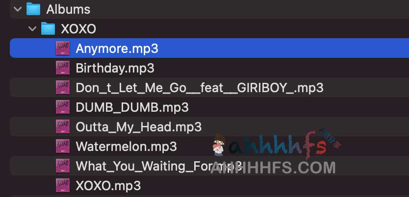 SpotiFlyer 全平台音乐离线工具：支持 Spotify、YouTube 及 SoundCloud 高质量下载