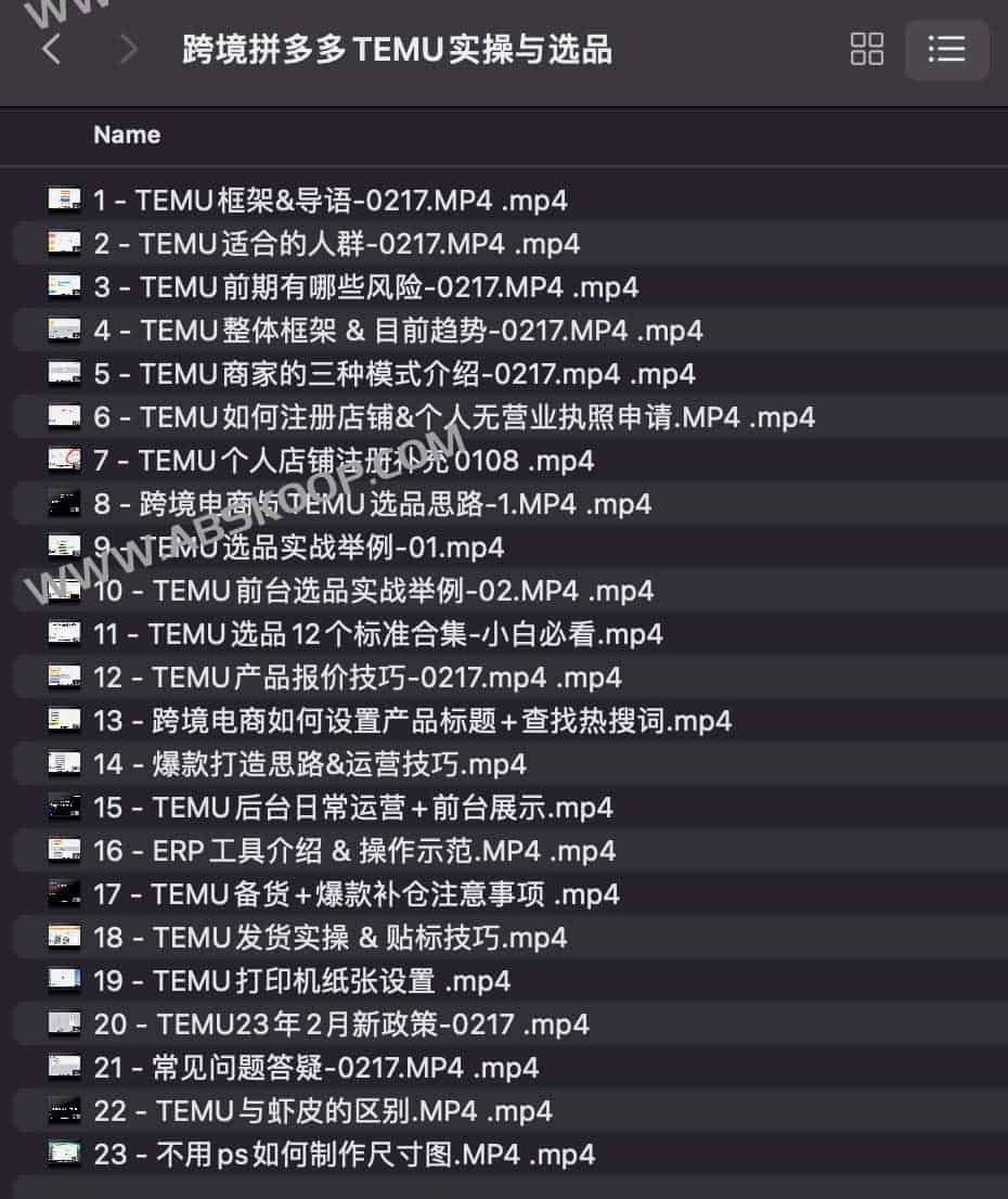 TEMU 跨境电商运营指南:从高转化选品策略到全流程实操细节 TEMU 跨境电商运营指南:从高转化选品策略到全流程实操细节