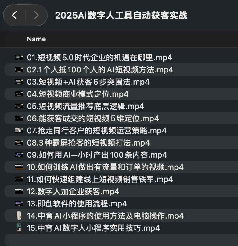 2025 AI 数字人自动化获客实操指南 2025 AI 数字人自动化获客实操指南