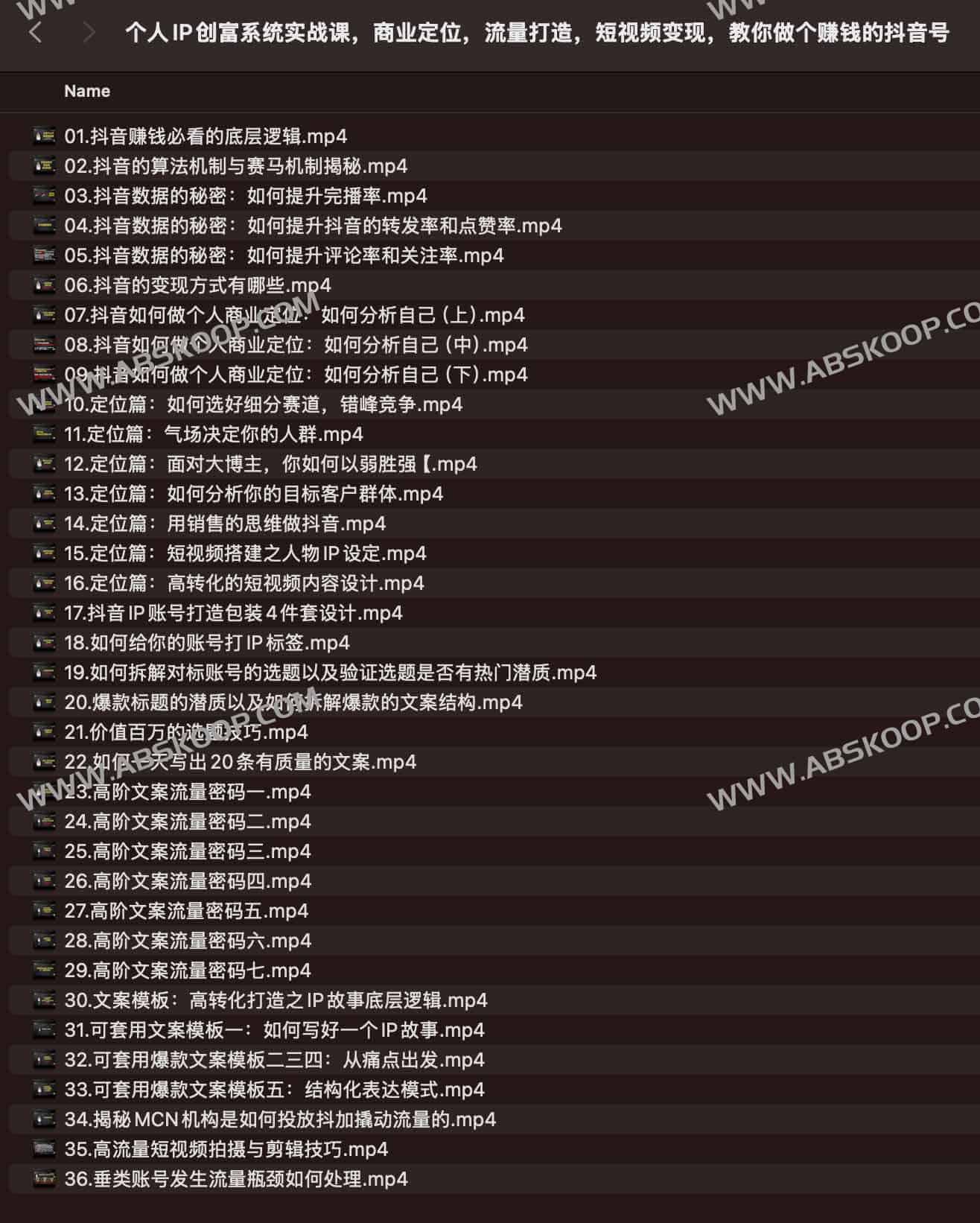 抖音个人 IP 变现全流程:从商业定位到流量获取,构建可闭环的短视频创富系统 抖音个人 IP 变现全流程:从商业定位到流量获取,构建可闭环的短视频创富系统