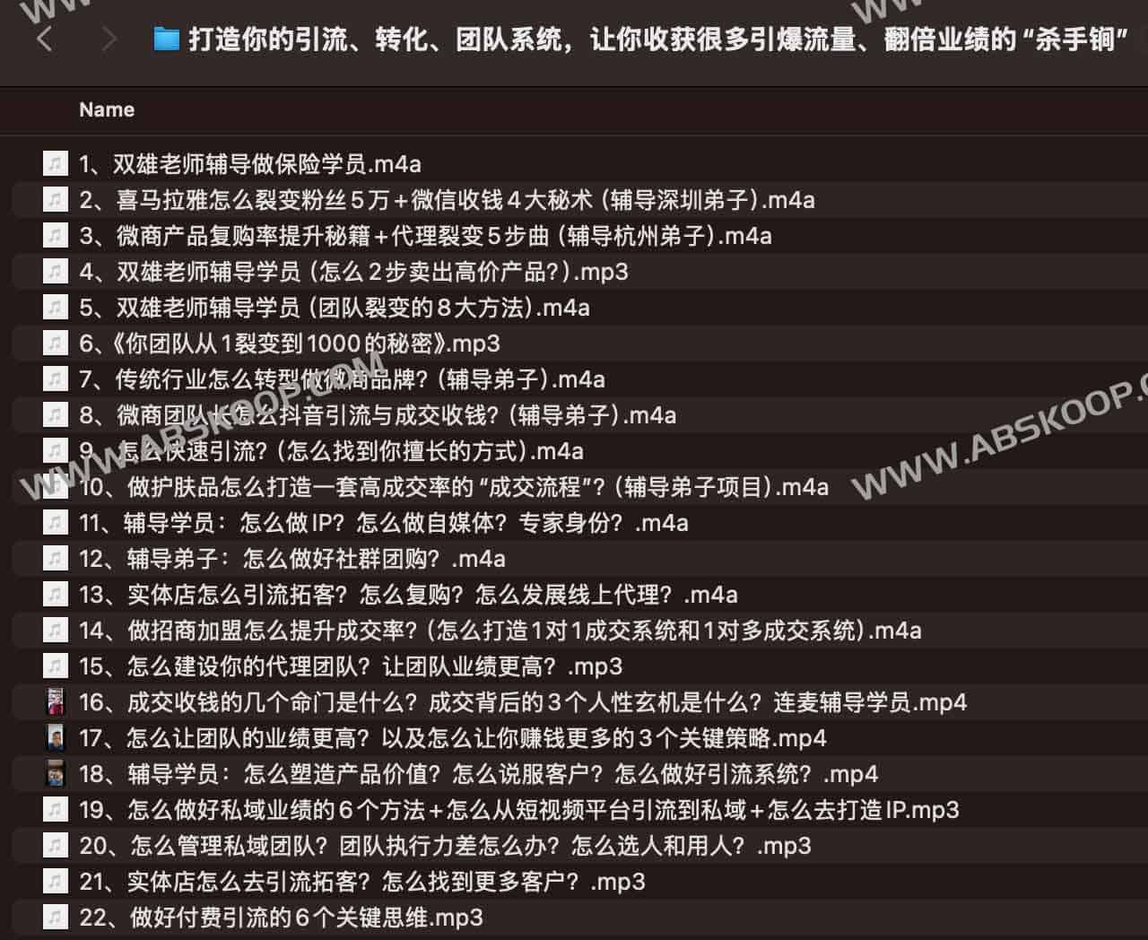 构建从流量获取到业绩转化的全链路闭环系统：通过体系化搭建引流、转化与团队管理机制，实现业绩规模化增长
