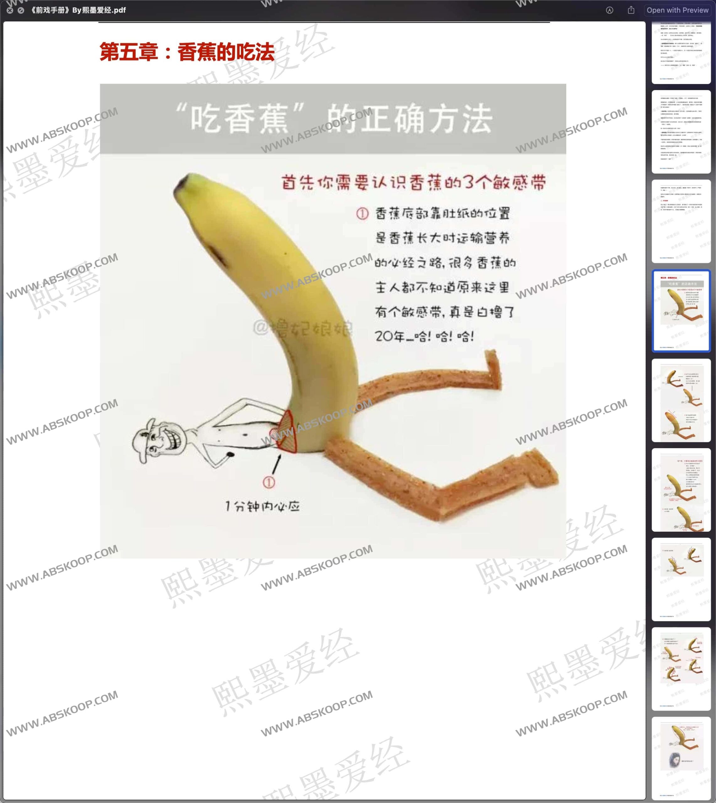前 x 快速上手指南：从环境配置到实操应用的完整步骤