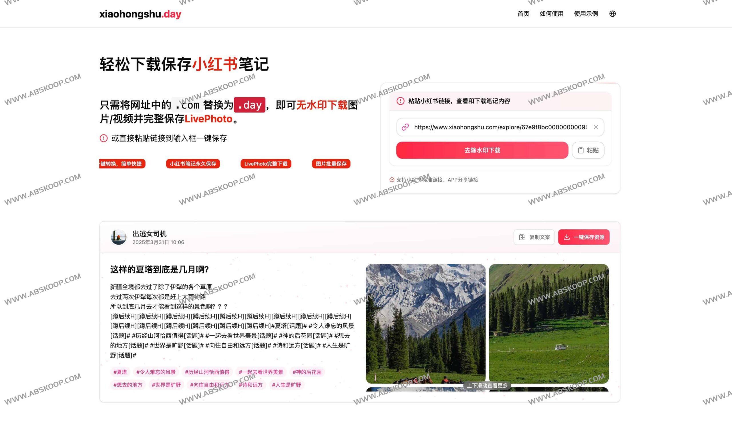 Xiaohongshu Day 使用教程：高效导出小红书无水印图片、视频及 LivePhoto