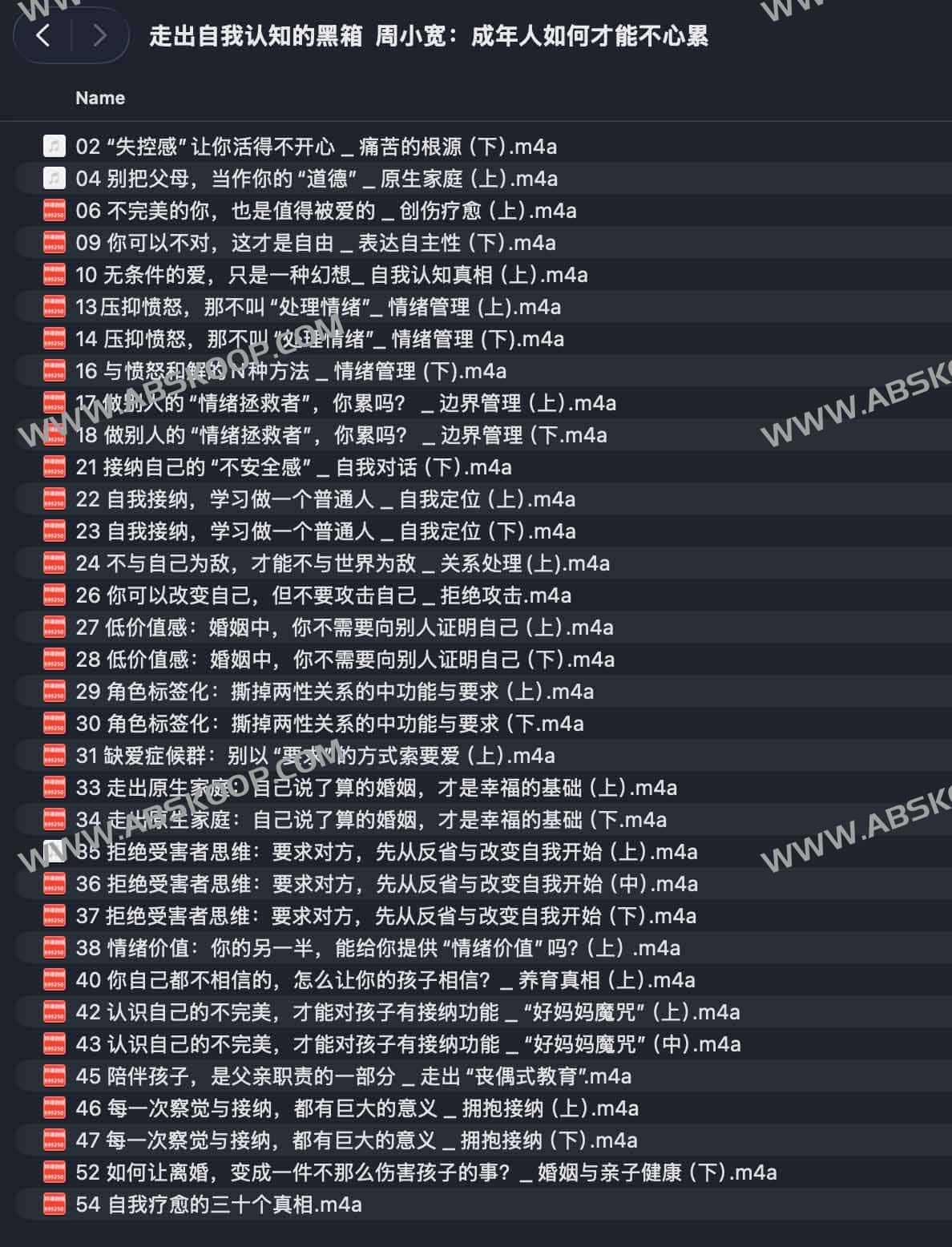 破解成年人心累的认知盲区：通过拆解自我意识黑箱，重建心理能量管理机制