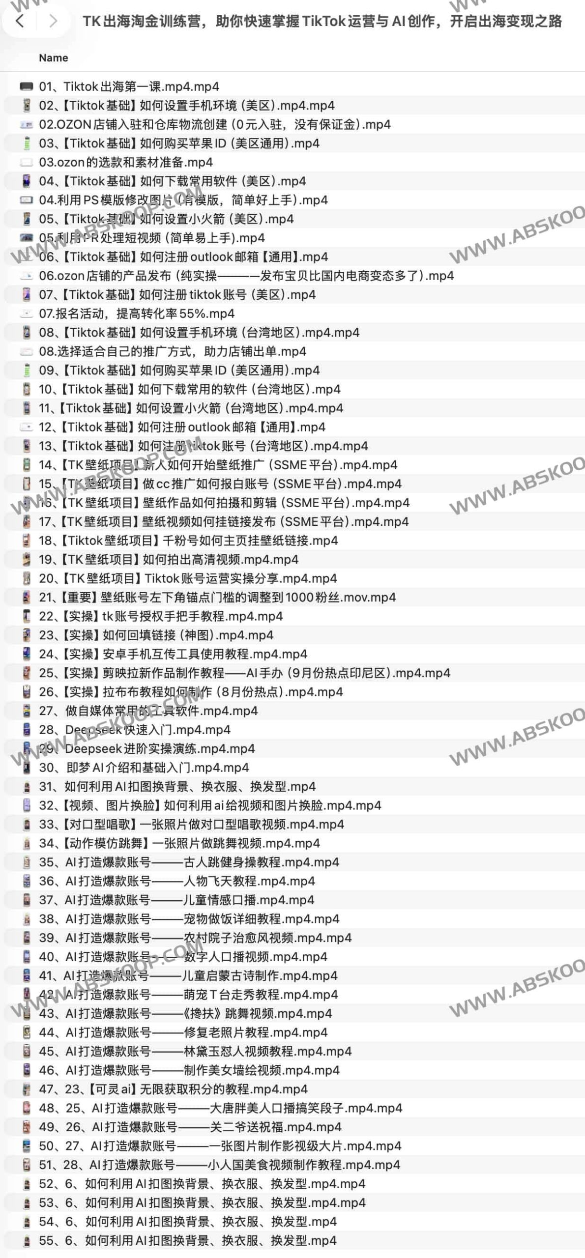 TikTok 运营实战指南：通过 AI 内容创作实现跨境出海变现