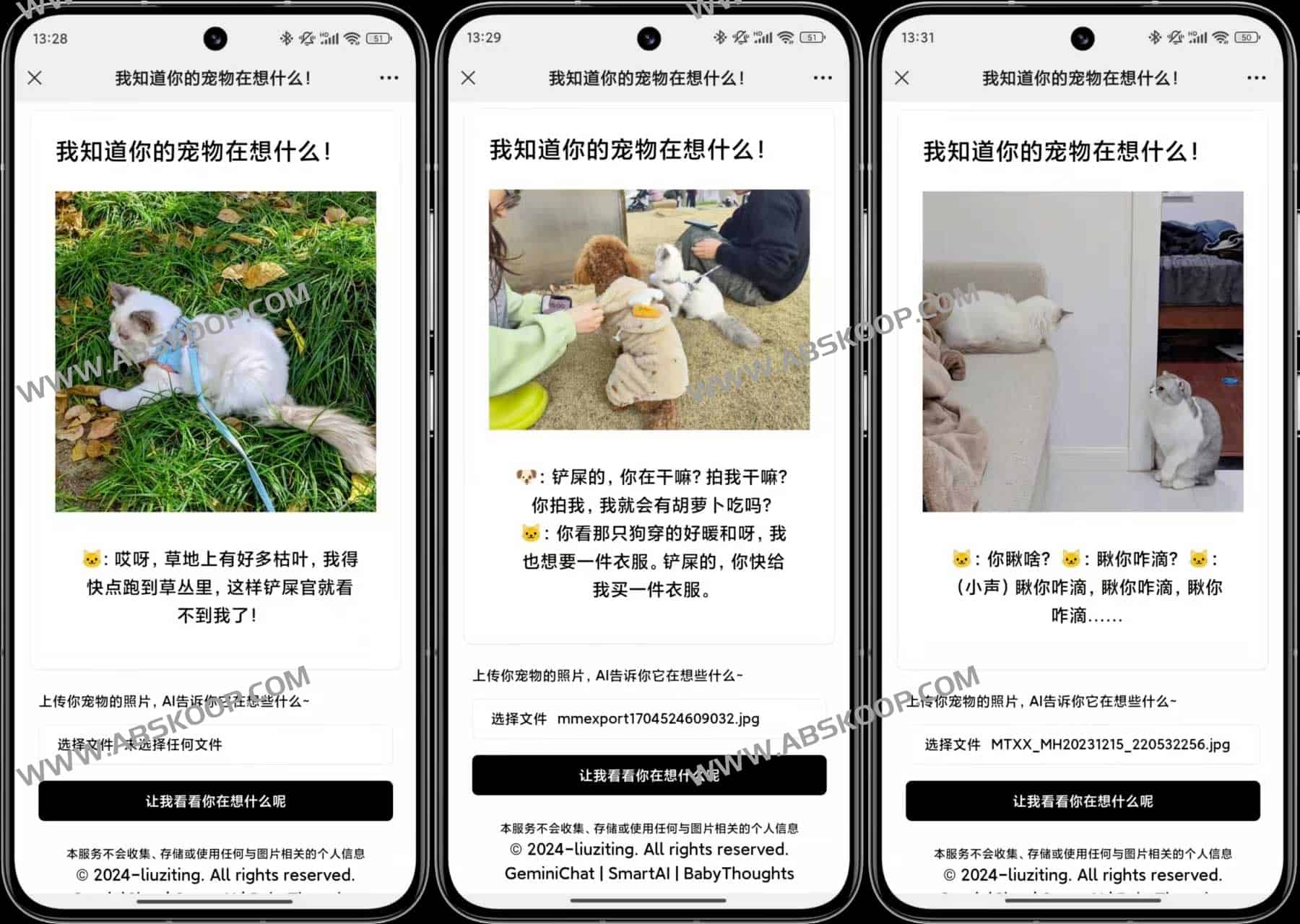 AI 宠物行为分析:利用图像识别技术解读动物心境 AI 宠物行为分析:利用图像识别技术解读动物心境