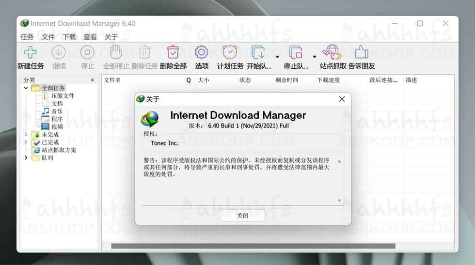 IDM v6.40.1.2 中文便携版：无需安装的快速下载加速方案