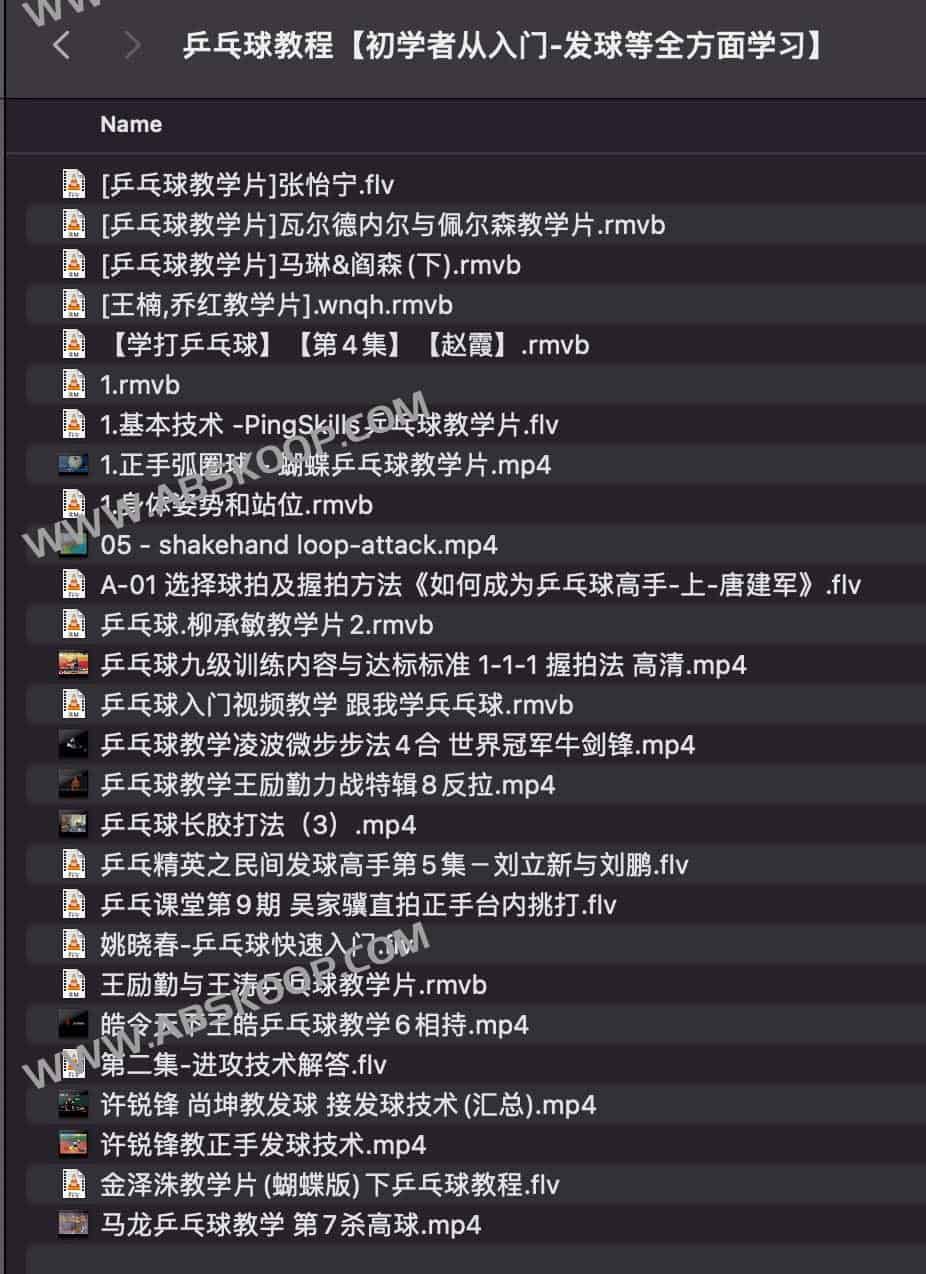 乒乓球新手起步指南：从基础持拍到发球技巧全解析