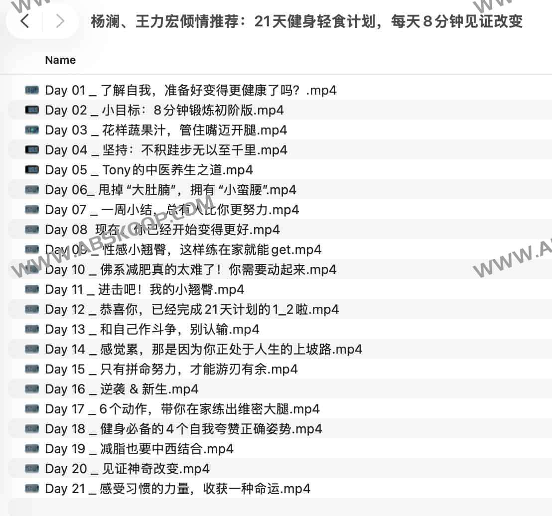 21 天轻食健身实操指南：每日 8 分钟高效塑形步骤详解