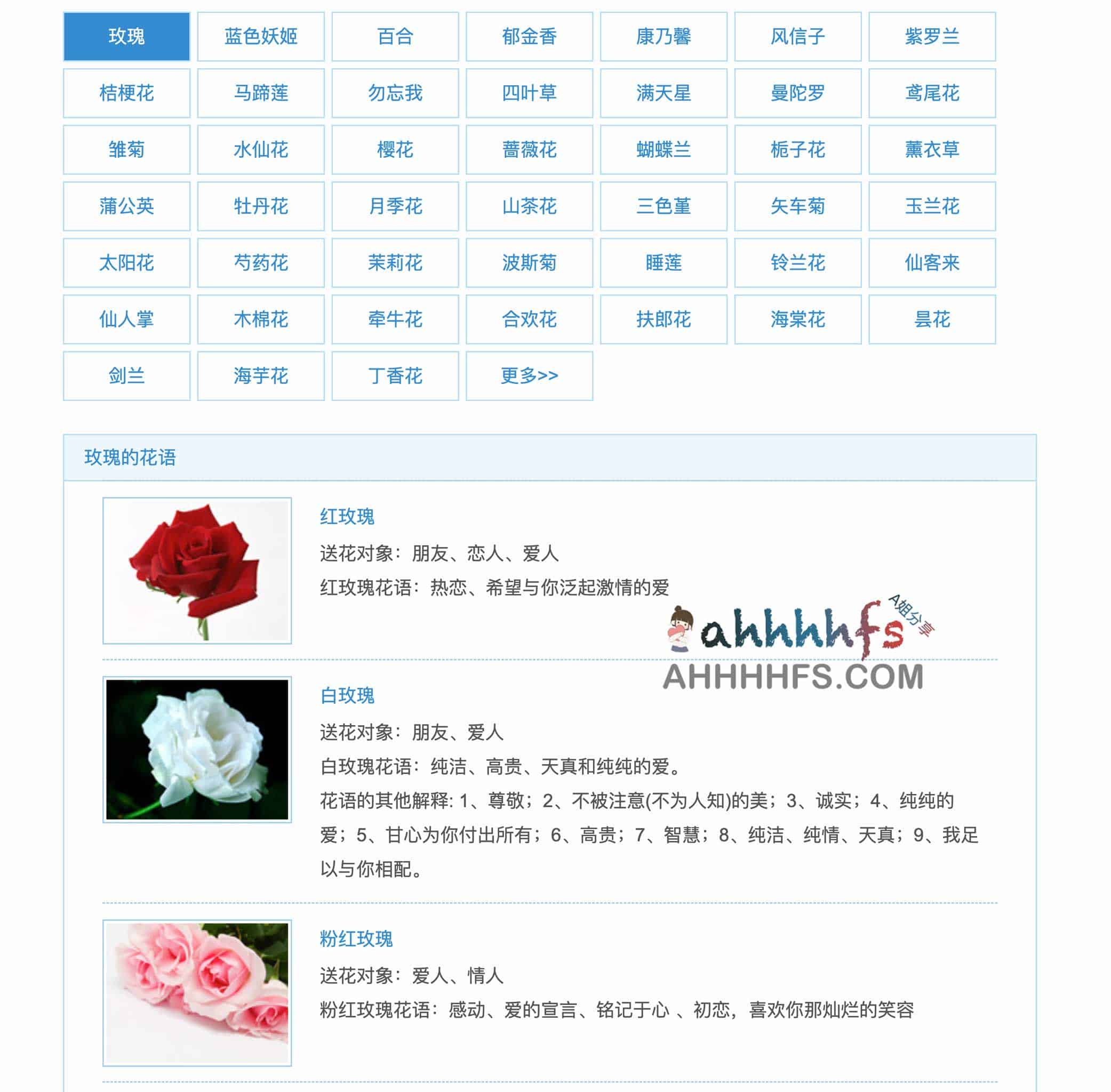 送花时担心寓意不对？这份详尽的花语指南帮你精准挑选