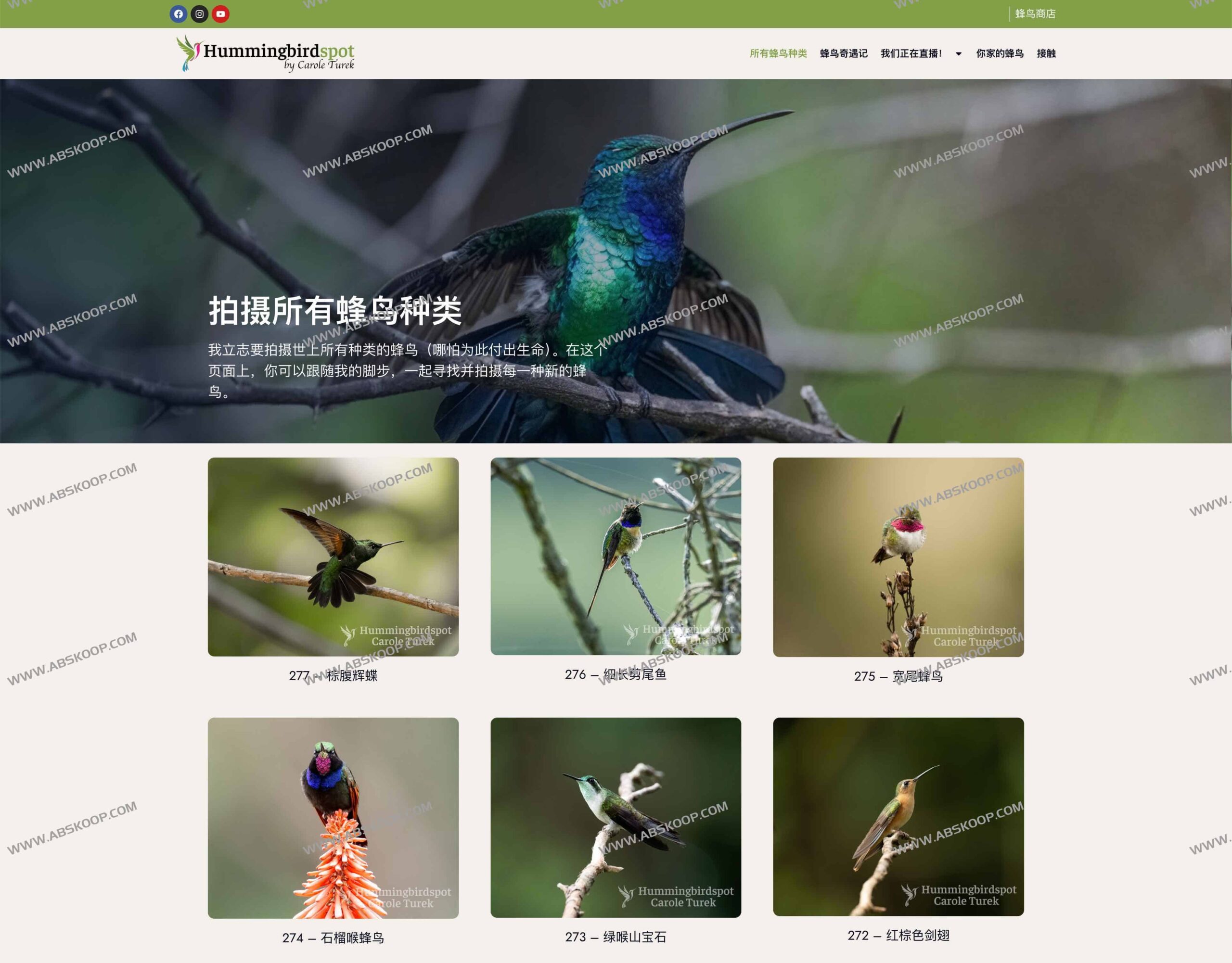 Hummingbirdspot：通过全天候直播与全球摄影社区，构建一个实时记录蜂鸟生态的数字化图鉴