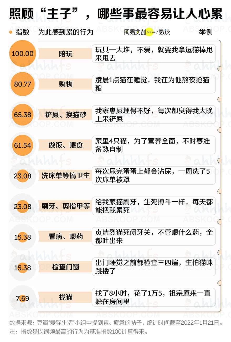 想养猫但担心照顾不周?在决定接它回家前,请先确认你能接受这些现实 想养猫但担心照顾不周?在决定接它回家前,请先确认你能接受这些现实