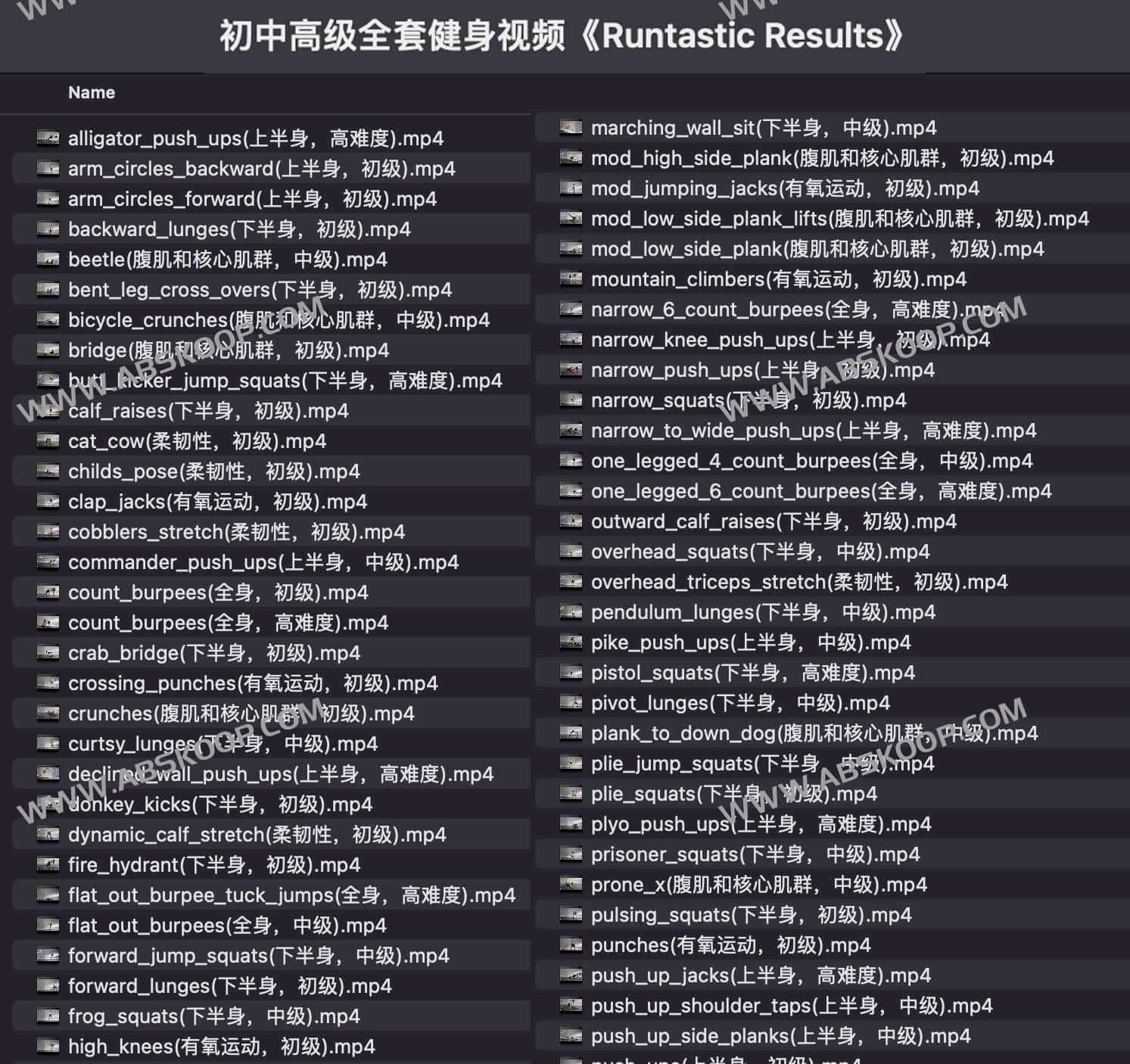 从初级到高级：Runtastic Results 全套健身视频训练指南