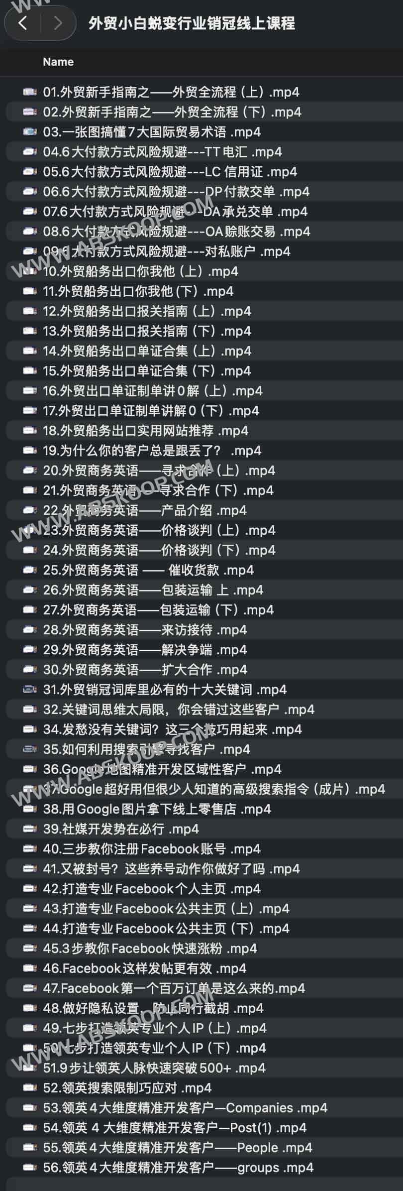从外贸新手到顶尖销冠：全流程实战进阶课程，分阶段拆解获客与转化核心链路