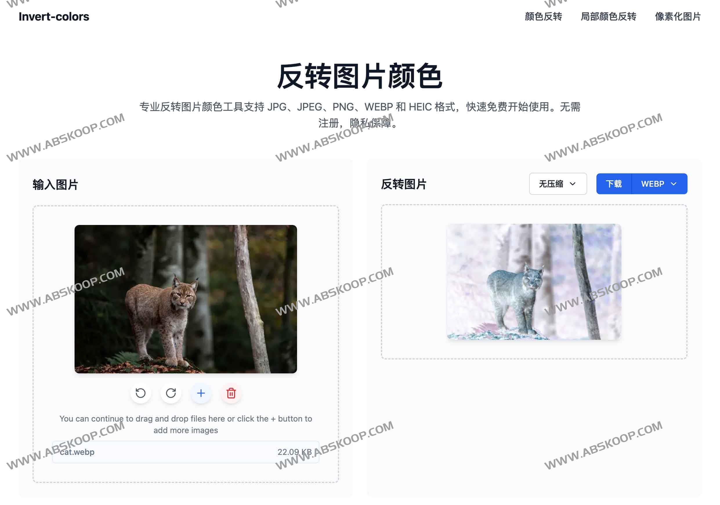 Invert-colors：快速实现图片颜色反转与负片效果的免费在线工具