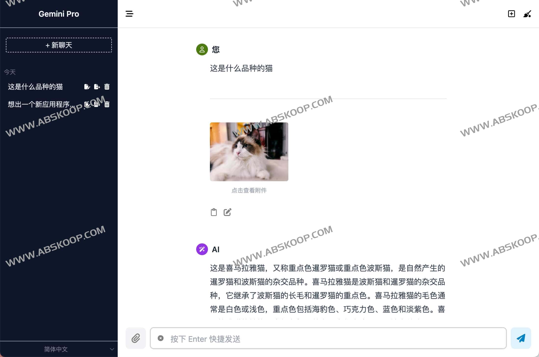 搭建 ChatGemini 网页客户端:将 Google Gemini 转化为 ChatGPT 式交互界面的操作指南 搭建 ChatGemini 网页客户端:将 Google Gemini 转化为 ChatGPT 式交互界面的操作指南