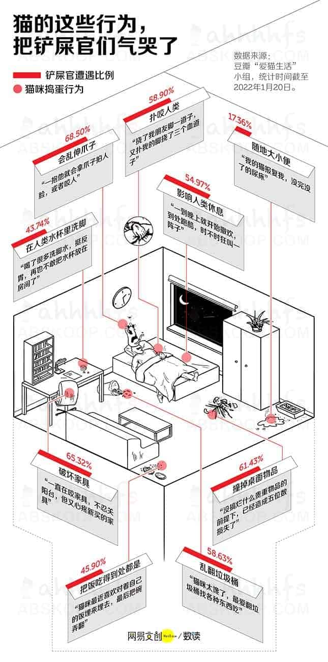 想养猫但担心照顾不周?在决定接它回家前,请先确认你能接受这些现实 想养猫但担心照顾不周?在决定接它回家前,请先确认你能接受这些现实