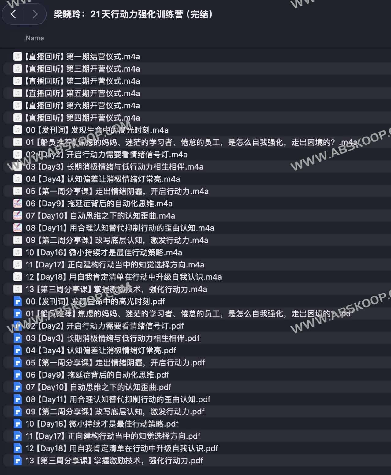 梁晓玲：21 天行动力强化训练营全记录与实操指南