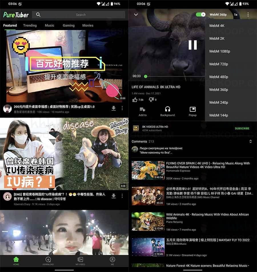 Pure Tuber v3.3.1.101 下载安装：纯净版 YouTube 第三方客户端及其使用要点