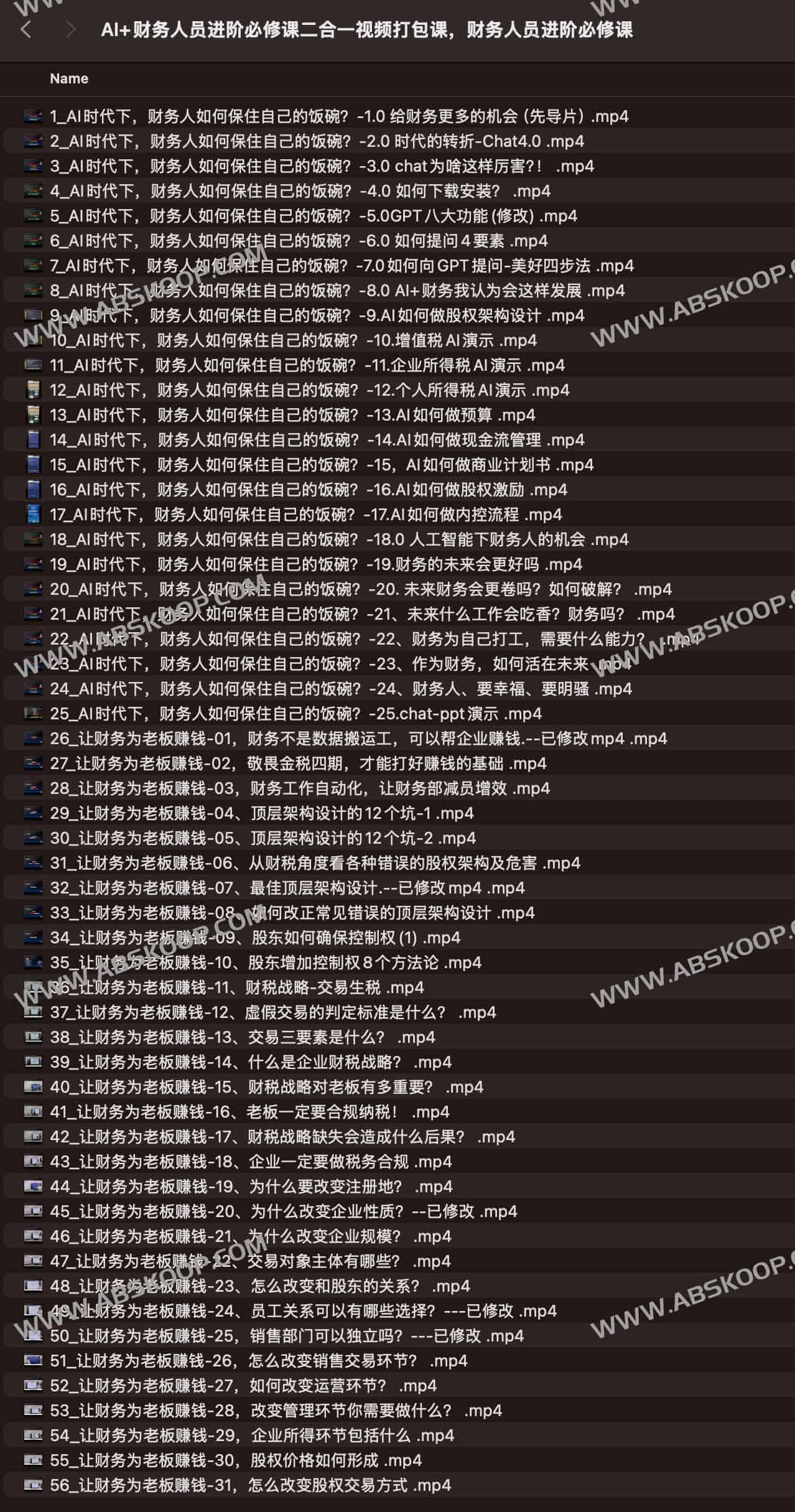 财务数字化转型：AI 赋能财务人员进阶实操视频集