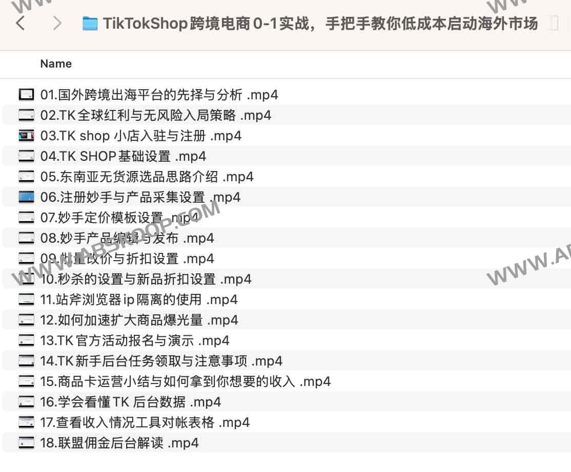 TikTok Shop 跨境电商起步指南：低成本建店流程与海外市场实操要点