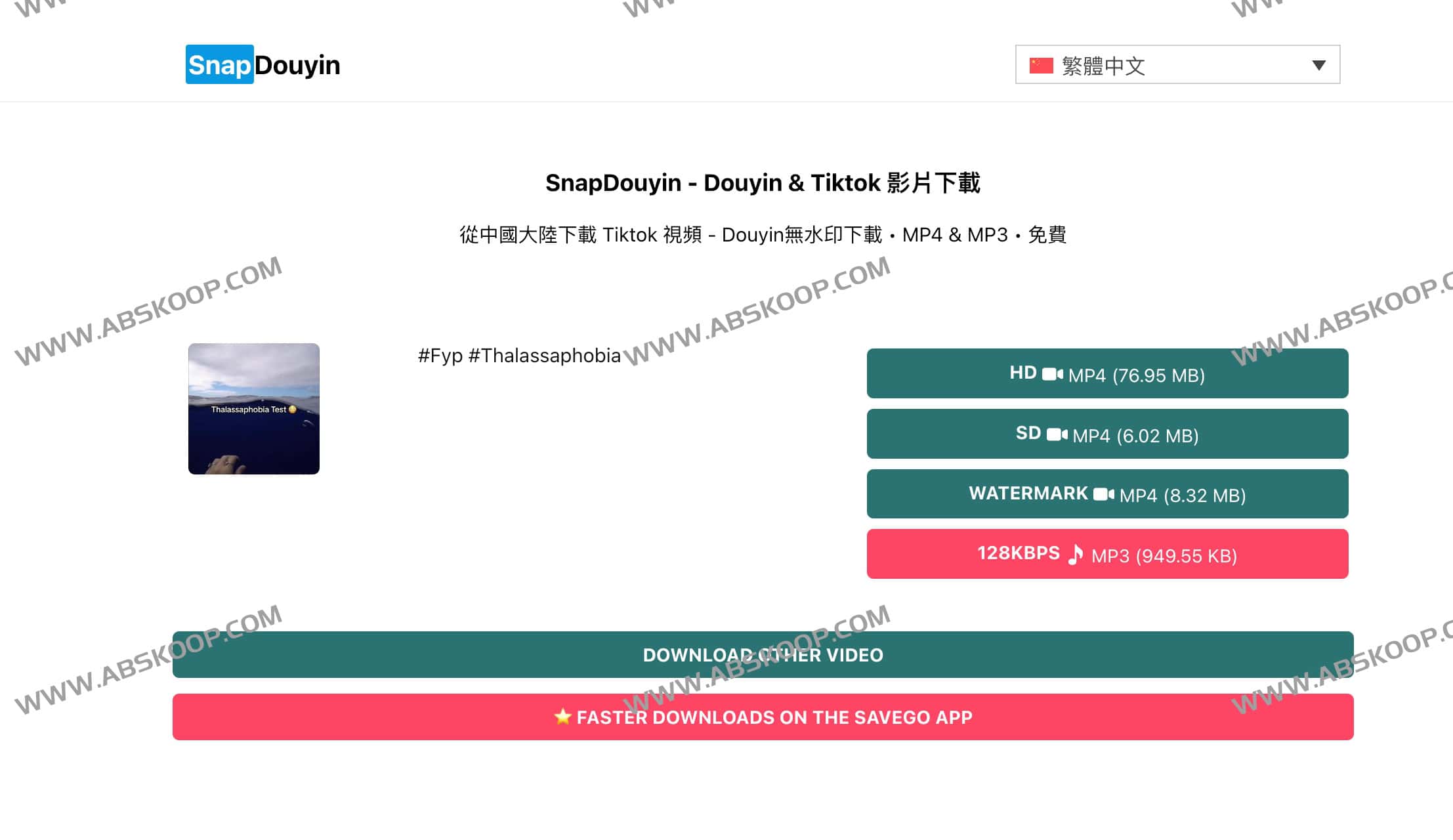 如何使用 Snap Douyin 下载抖音与 TikTok 无水印视频：操作指南