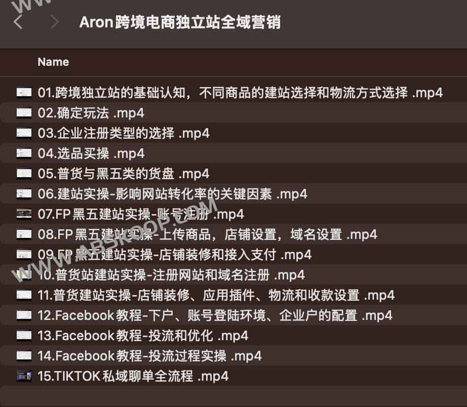 Aron 独立站全域营销策略：从流量获取到转化增长的体系化实践