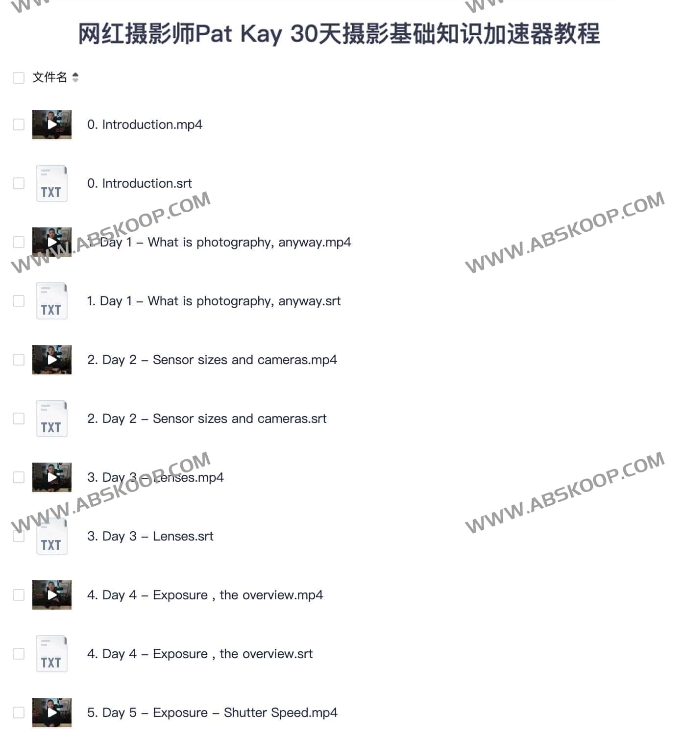 30 天掌握摄影基础：Pat Kay 摄影加速器学习路径指南