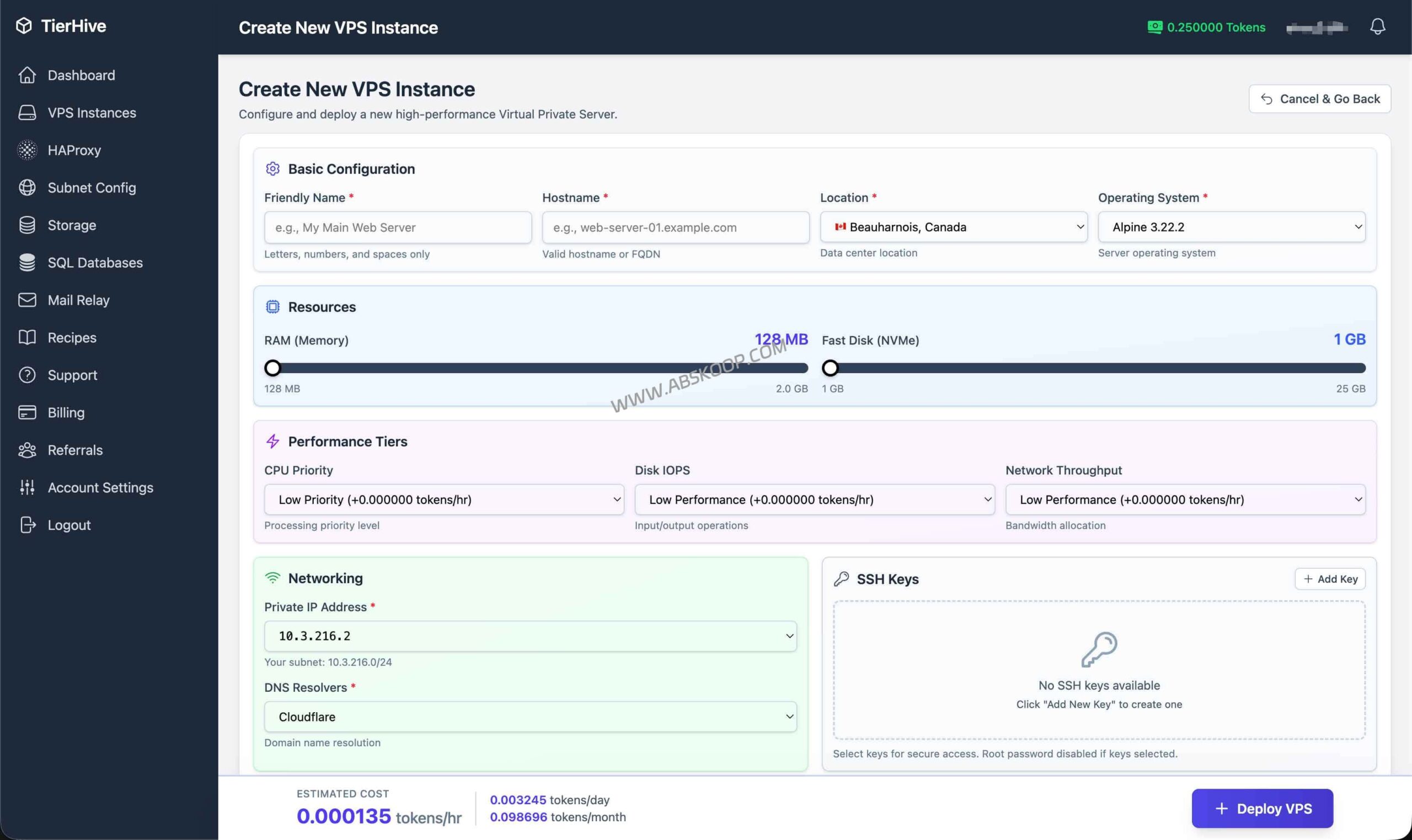 TierHive 按小时计费 VPS 实测：低成本构建 2026 版 Linux 学习环境的部署方案