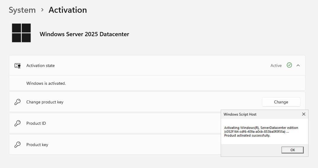 基于 Docker 的 KMS 服务部署指南：实现 Windows 与 Office 全版本永久激活