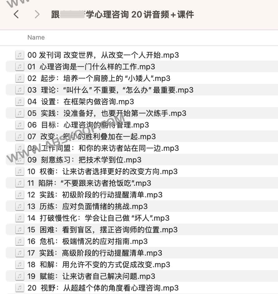 李松蔚心理咨询实操指南:20 讲音频课程与配套课件学习步骤 李松蔚心理咨询实操指南:20 讲音频课程与配套课件学习步骤