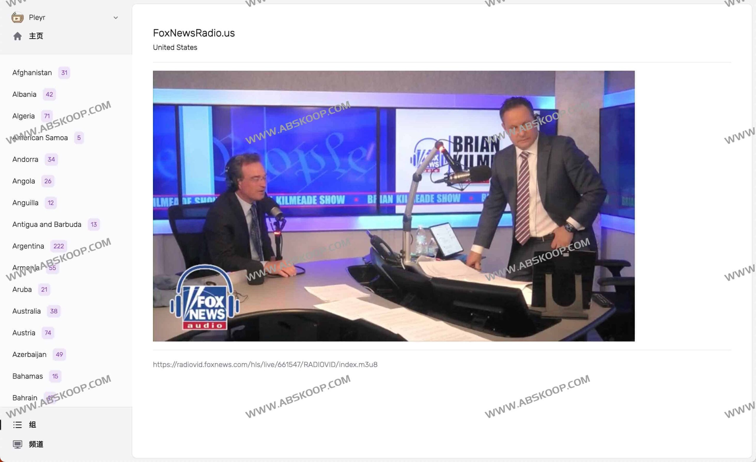 如何使用 Pleyr 在浏览器中搭建 IPTV 播放环境：配置与操作指南