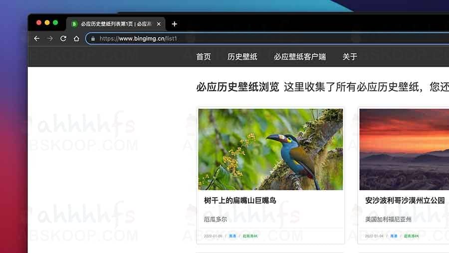 Bing 每日壁纸回顾:高清 4K 历史图库浏览与下载指南 Bing 每日壁纸回顾:高清 4K 历史图库浏览与下载指南