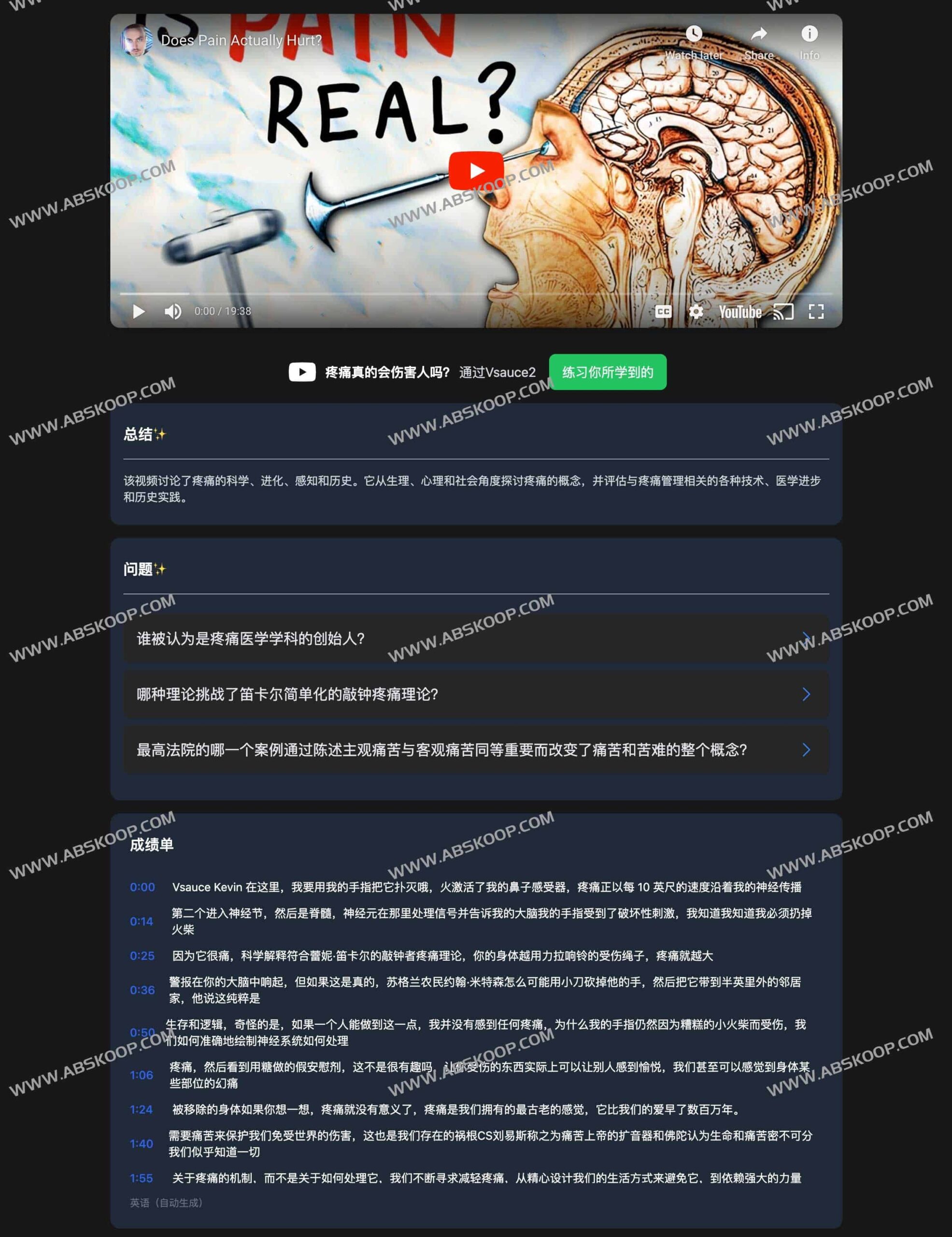 Plato AI：支持 YouTube 视频总结的 AI 工具获取与配置指南