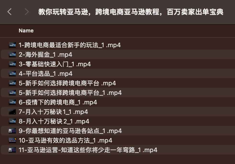 亚马逊出单实战指南：从账号起步到百万营收的跨境电商全流程操作手册