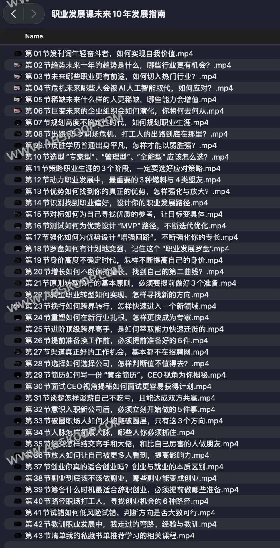 十年期职业竞争力构建与成长路径指南