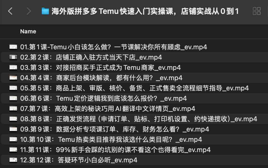 Temu 跨境电商实操指南：从店铺开店到出单的全流程链路