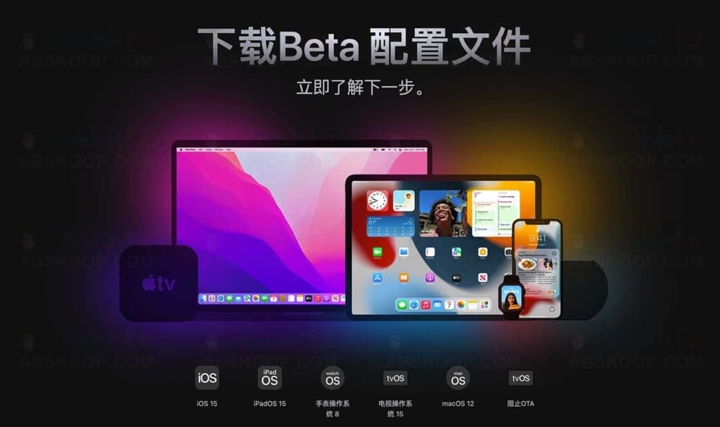 Download Beta Profiles 免费下载苹果 Beta 配置描述文件和 IPSW 文件