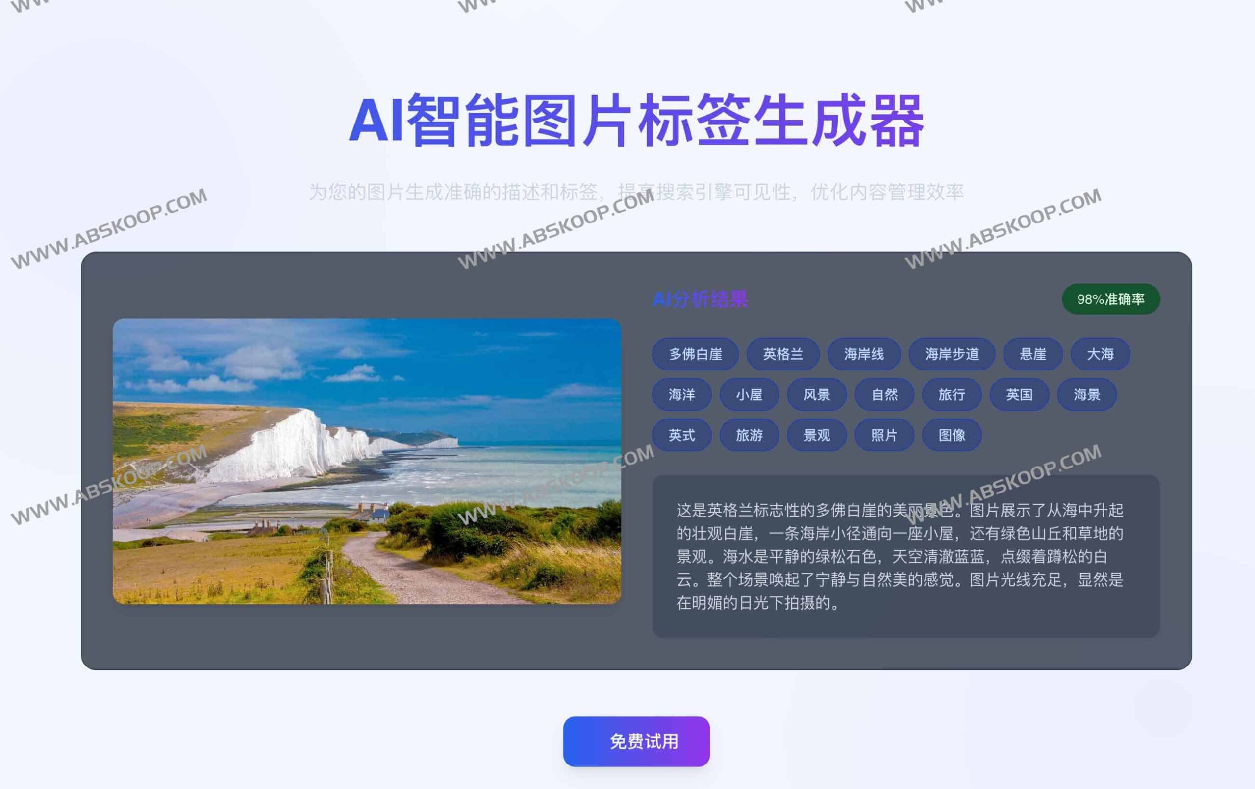 使用 Describe Picture 平台进行 AI 视觉智能分析的操作指南