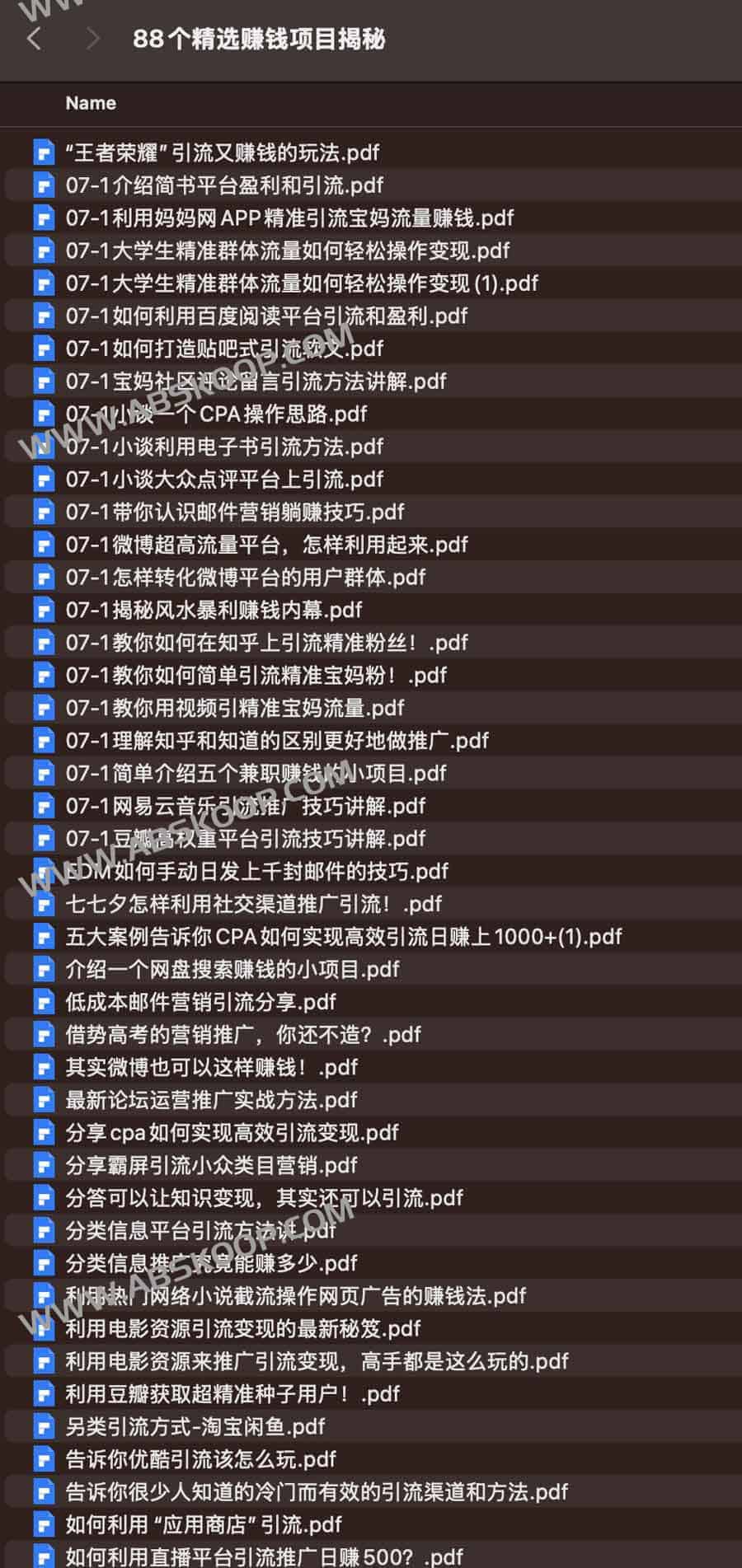 88 个实操赚钱项目清单：涵盖适用场景与执行要点下载指南