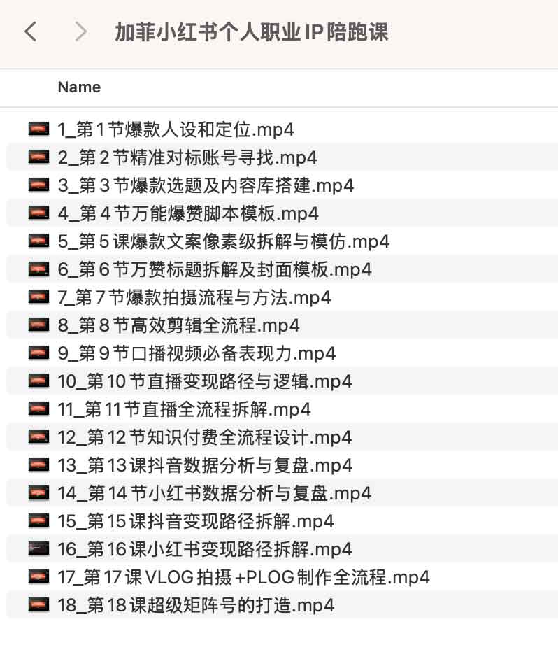 小红书个人职业 IP 打造实战指南：从定位起号到商业变现的陪跑式成长体系