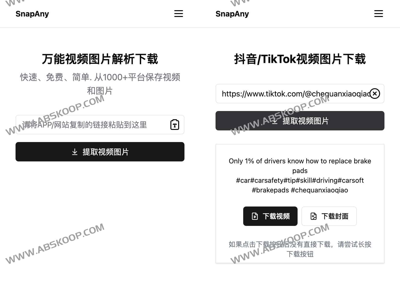 SnapAny 视频图片通用解析下载工具:安装部署环境与使用指南 SnapAny 视频图片通用解析下载工具:安装部署环境与使用指南