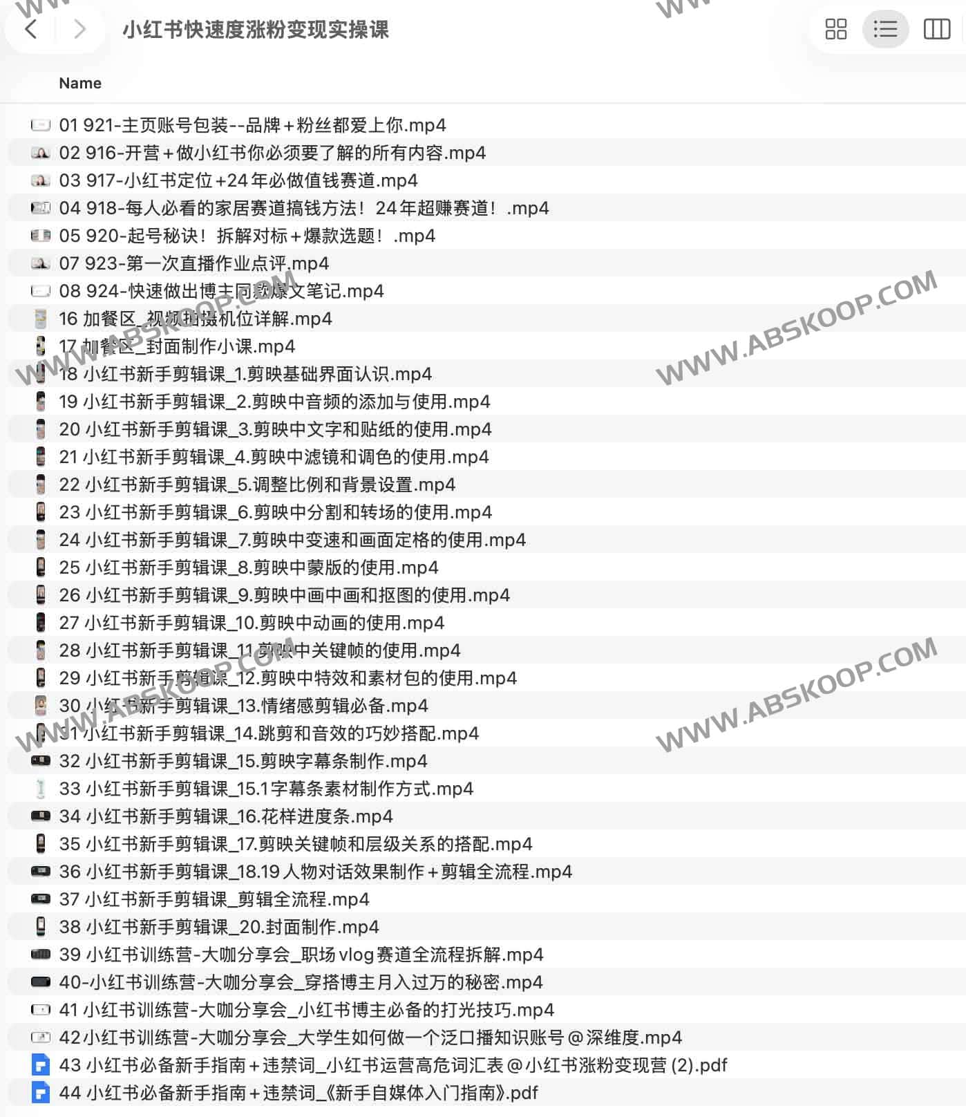 小红书快速涨粉与商业变现实操指南 小红书快速涨粉与商业变现实操指南